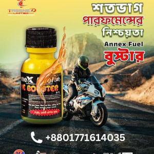 Annex Fuel Premium Octane Booster (12 piece)