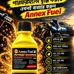 Annex Fuel Premium Octane Booster (12 piece)